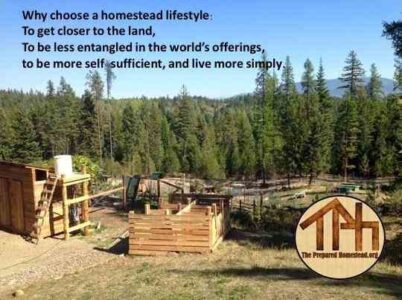 Preparing for Power Outages on the Homestead, Part 2 Image